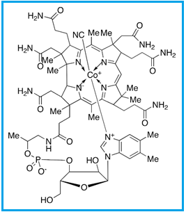 Cyanocobalamin | Vitamin B12